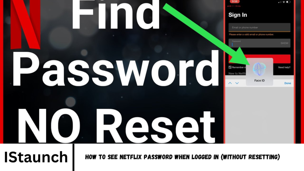 See Netflix Password When Logged in