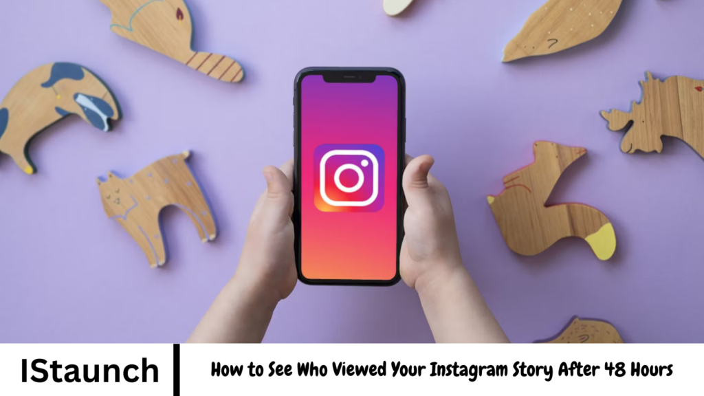 How to See Who Viewed Your Instagram Story After 48 Hours