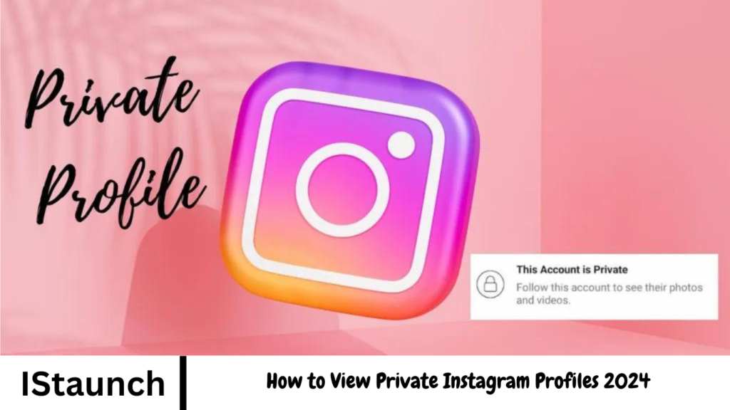 How to View Private Instagram Profiles 2024